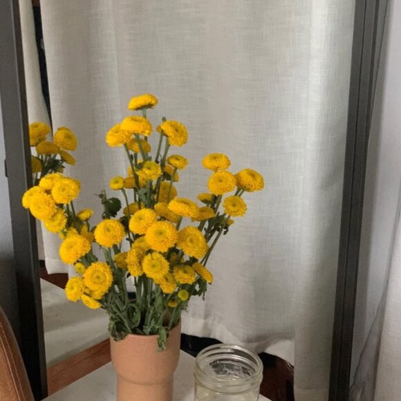 Kati von Lehman Tumbler - Rose (set of 2) - Picture 3 of 11